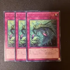 遊戯王　バージェストマ・マーレラ　字レア3枚
