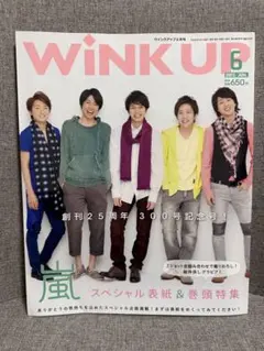 WINK UP 2013年6月号 嵐