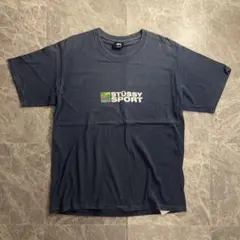 00s ステューシー　tシャツ ネイビー