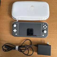 Nintendo Switch Lite グレー 本体 充電器 ケース付き