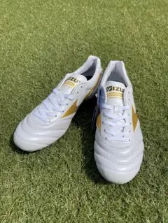 2025年最新】モレリア2袋の人気アイテム - メルカリ