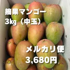 2026年最新】摘果マンゴーの人気アイテム - メルカリ