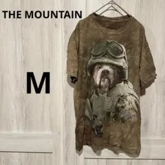 Item thumbnail for item 28a13fd5-a685-48f5-a223-d0004a4ce4bd