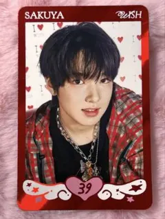 NCT WISH サクヤ スペシャル Steady MD
