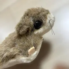 モモンガ　ぬいぐるみ