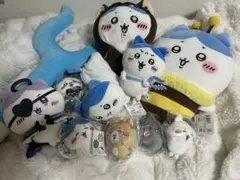 はちわれ まとめ売り