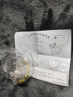 【ポメラニアン】うちの子のけだまだま