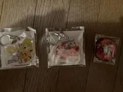 ポケモンアクリルキーホルダー、缶バッジ　おまけあり
