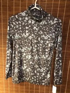 Item thumbnail for item ed94ae95-f93d-4a46-a400-bb96a4a528e3