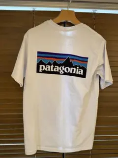 パタゴニア ロゴ プリント　レスポンシビリティー Tシャツ