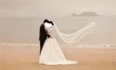 ウェディングドレス Aライン オフショルダー 【パニエ付】