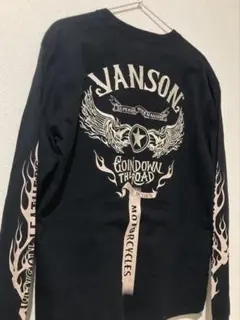 ⭐︎【美品】VANSON バンソン フライングスター刺繍 ロンTのサムネイル
