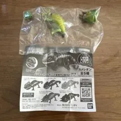 レプティ恐竜