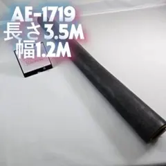 Item thumbnail for item 9d372c50-6298-4084-8c77-16dcebb12562