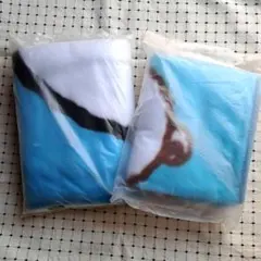 未使用　未開封　スヌーピー　ミスド　ブランケット　ひざ掛け　２点セット