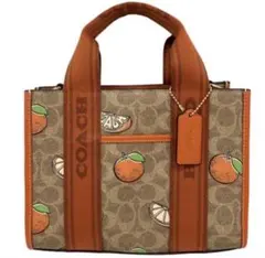 コーチ COACH オレンジ柄 ミニトート 2WAYバッグ 希少 人気