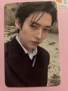 Straykids DOIT アコーディオン トレカ リノ