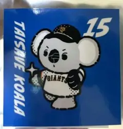 nana.h様 リクエスト 2点 まとめ商品