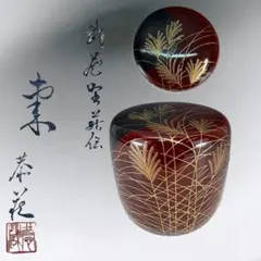 Item thumbnail for item 6caa7e05-135a-47bb-885f-fd21d20354b5