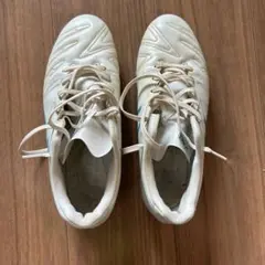 アシックス DS LIGHT WIDE26.5