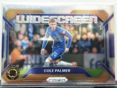 panini club would cup 25　パーマー　チェルシー