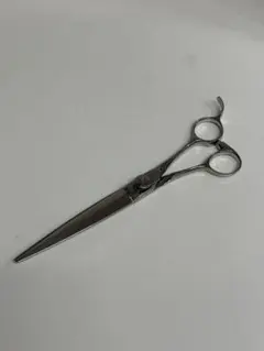 Item thumbnail for item c8434dc5-b24c-4208-bb22-3e3c1057da22