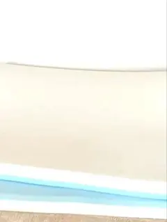 土日限定セール！トゥルースリーパー プレミアリッチ　低反発マットレス　シングル