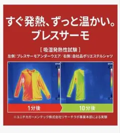 Item thumbnail for item 22710d65-1337-4374-bc58-d7002f8f0bab