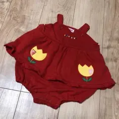 チエコサク　レア　旧タグ　ダルマオール