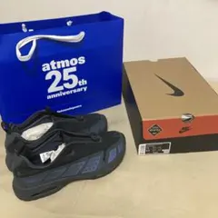 NIKE AIR MAX SNDR GTX エアマックス　サンダー　ゴアテックス