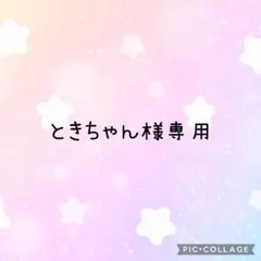 ときちゃん様専用