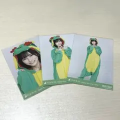 乃木坂46 生写真 池田瑛紗 干支 辰 2024 コンプ