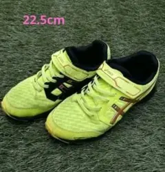 Item thumbnail for item 54edcf53-cea7-48ac-b3d1-ad84bef3530d