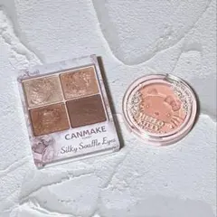 【おまけ付】キャンメイク シルキースフレアイズ 10