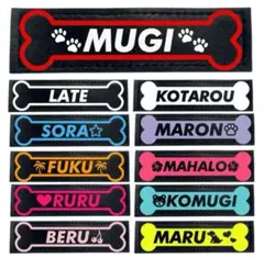 Item thumbnail for item e7b4ff19-c435-46f0-b4f6-6ca41a4344e2