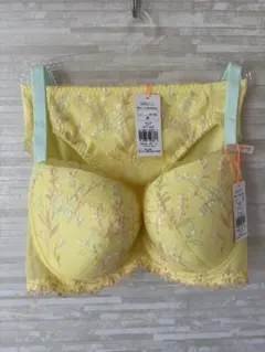 F70M」トリンプ チャーミングラマースリムライン フローラルハグ ブラショーツ