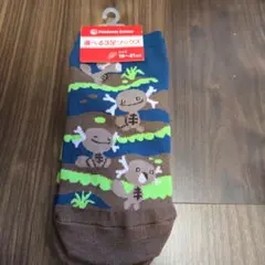 ポケモンセンターオリジナル　靴下 パルディアウパー　19～21