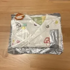 Item thumbnail for item 01cb625c-3309-41c5-8ed0-c7a69df0ce52