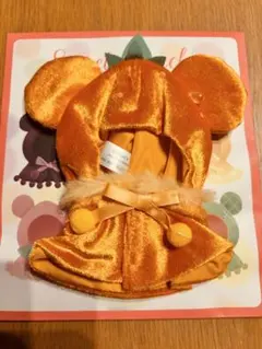 ディズニー ユニベア シークレット コスチューム ポンチョ フルーツ オレンジ