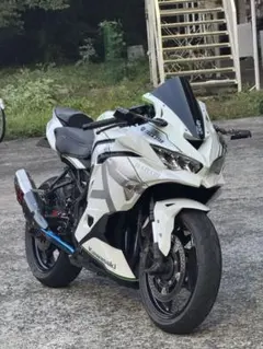 Rさま専用出品 2026年最新】zx25r 車体の人気アイテム - メルカリ