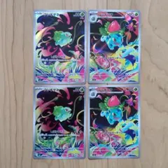 フシギダネ　フシギソウ　ARまとめ売り