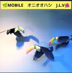 オニオオハシ　 鳥 モビール