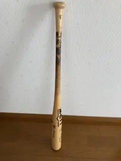実使用・直筆サイン入 横浜DeNAベイスターズ 金城龍彦 2012年