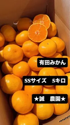 ❤︎小玉❤︎人気No. 1 有田みかん5kg SSサイズ★今季ラスト4箱！！