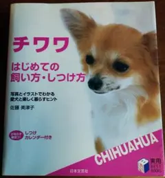 Item thumbnail for item 582977af-9788-48a9-9c5d-12df2abdd437