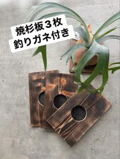ビカクシダ用 焼杉板 3枚セット 釣りガネ付きのサムネイル