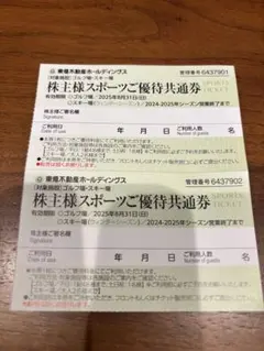 東急不動産 株主優待券 2枚 リフト券 割引 ニセコ たんばら タングラム