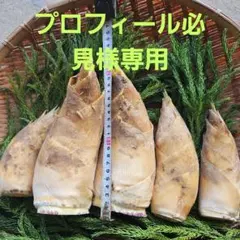 ①熊本産4kg　プロフィール必見様専用