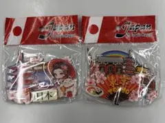 Japan 3D Acrylic Magnet 2個セット アクリルマグネット