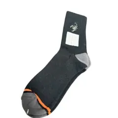 Item thumbnail for item 2c7bc08a-89dc-4525-8946-d3c91baf7316